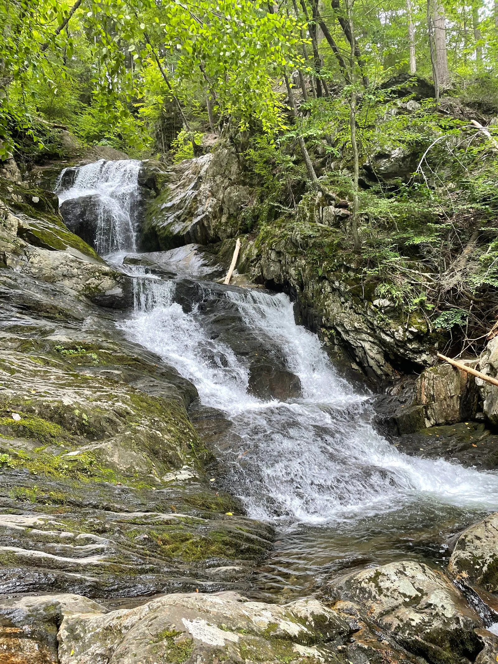 Sanderson Brook Falls in Chester-Blandford State Forest on a bright summer afternoon: a multi-tier waterfall stepping down a face of dark wet bedrock in three distinct shelves, white water churning over each ledge into a rocky pool, sunlit green deciduous foliage and ferns crowding in along the top of the falls and the right-hand cliff, and a jumble of mossy boulders in the foreground stream channel where the falls run out into the lower brook.