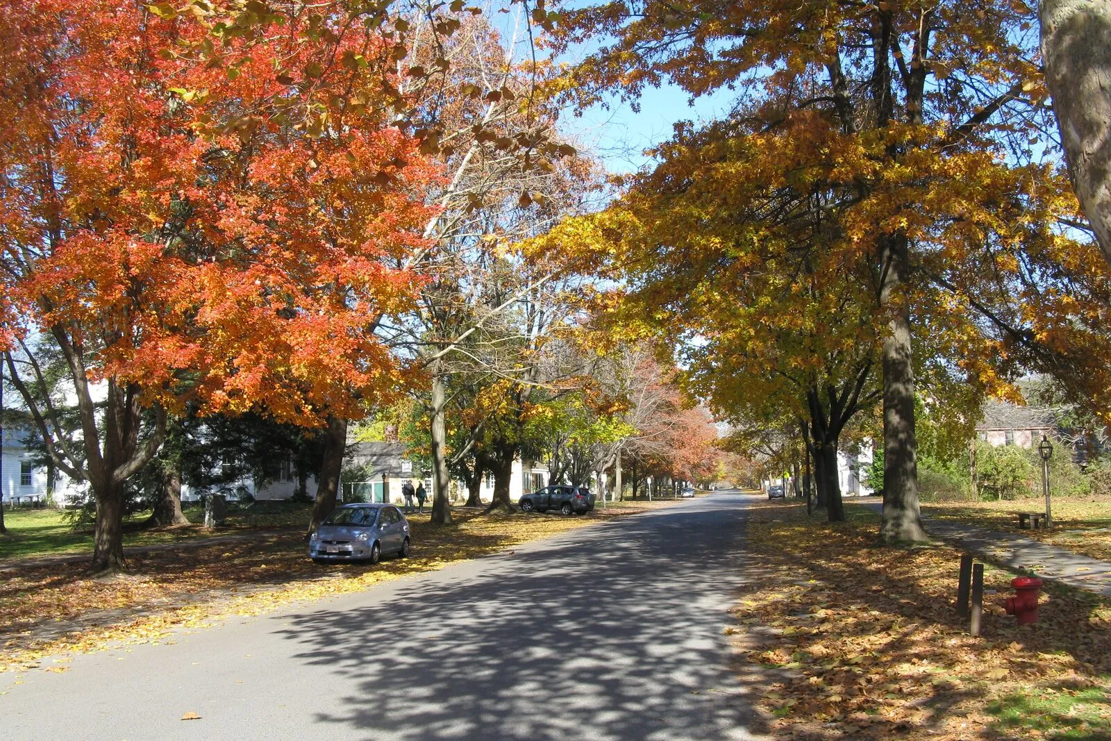 Old Main Street in Historic Deerfield in autumn, a wide tree-lined road with fall-foliage maples overhead, 18th-century clapboard houses on the left, and wooden benches along the verge on the right.