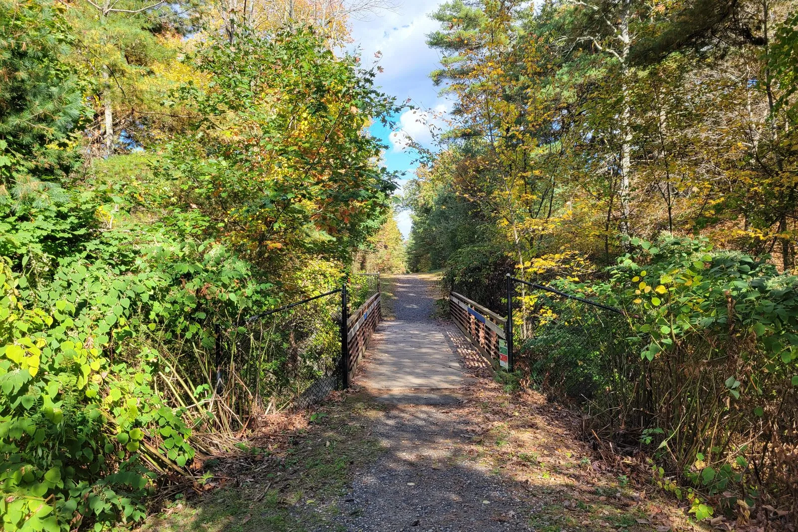 A short bridge on a rail trail in Ware, Massachusetts, on a sunny October day. Black iron pipe railings line a stone-dust path that crosses Flat Brook and continues straight ahead between low evergreen and deciduous trees. The trees on either side are mostly green with patches of yellow fall color, and a band of blue sky shows through the canopy overhead. No people are visible; the trail recedes into the wooded distance.