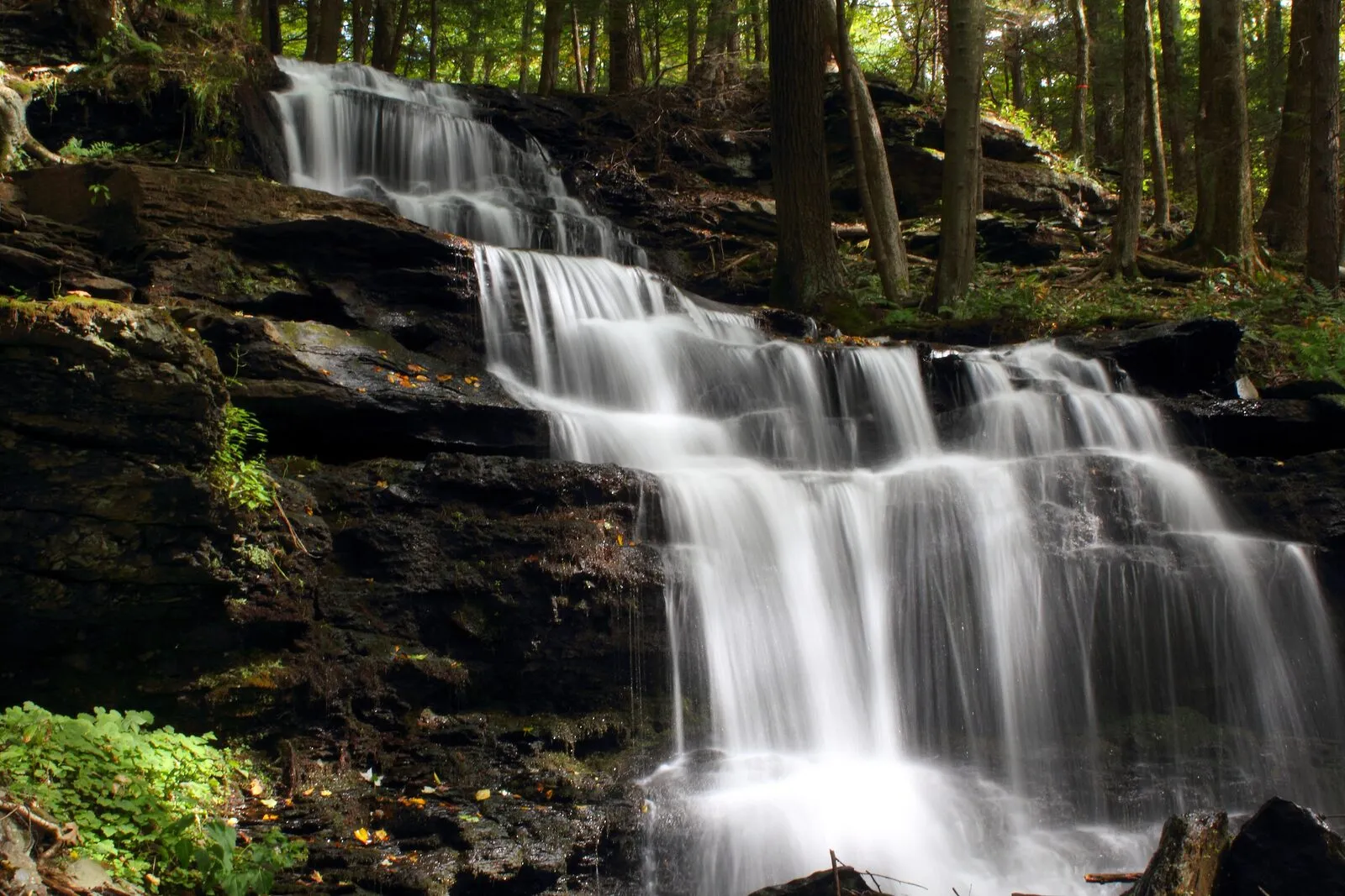 A multi-tier waterfall on Gunn Brook tumbling over dark layered bedrock on Mount Toby's south side — long-exposure white water cascading down four shelves of rock, dark wet bedrock framing the falls on both sides, a green hemlock and deciduous canopy crowding in from above, and fallen leaves and bright moss along the stream banks in the foreground.