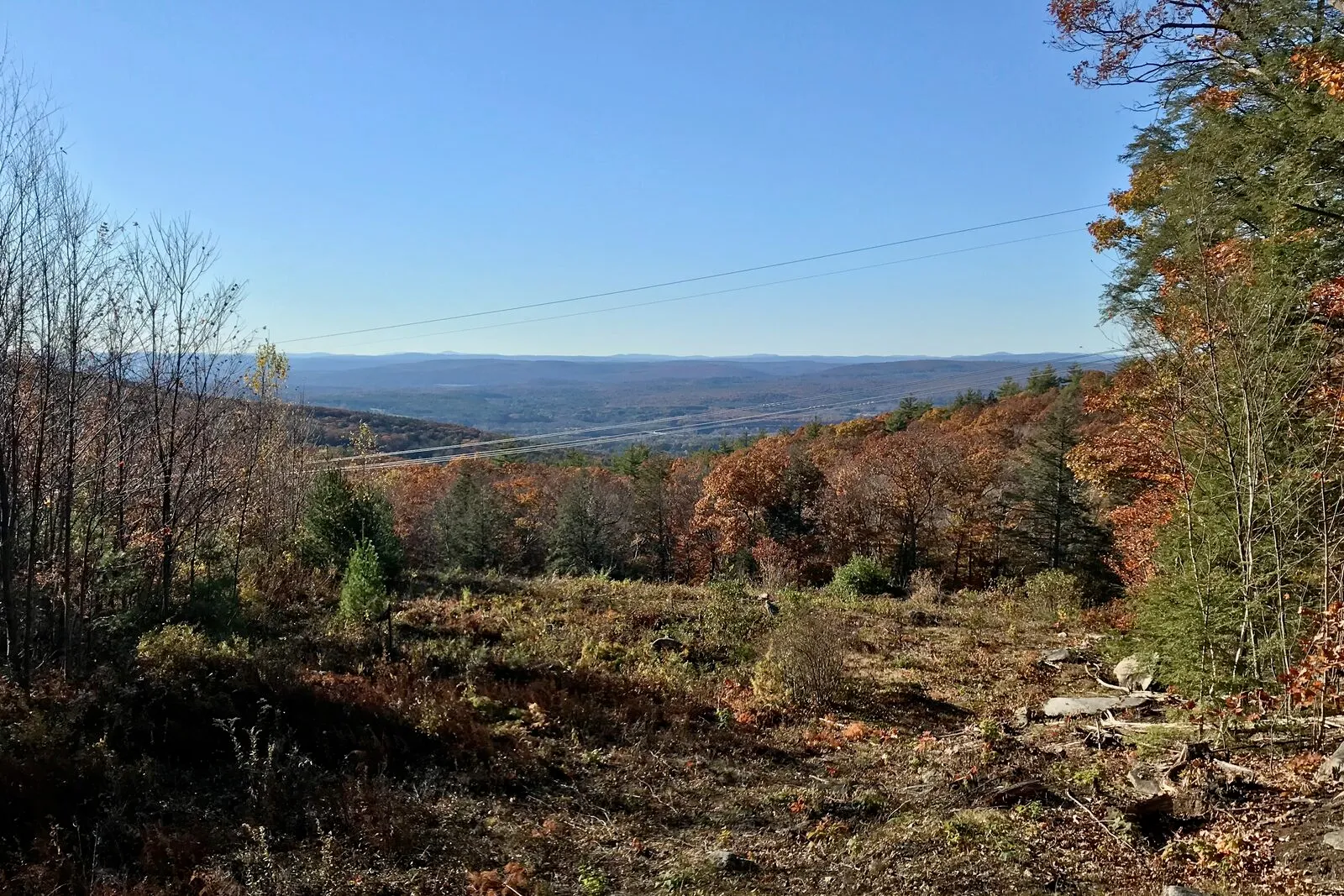 A wide-open view west from a cleared hilltop vista on Northfield Mountain on a clear early-November afternoon — bare and red-leafed branches framing the foreground at the edge of a sloping clearing of grass, brush, and scattered cut logs, then dense forested hillsides falling away in patchy late-fall yellow, orange, and rust toward the broad Connecticut River valley in the middle distance, low forested ridges and a pale strip of farmland on the far valley floor, and a long line of softly receding blue mountains running across the horizon under a clear blue sky.