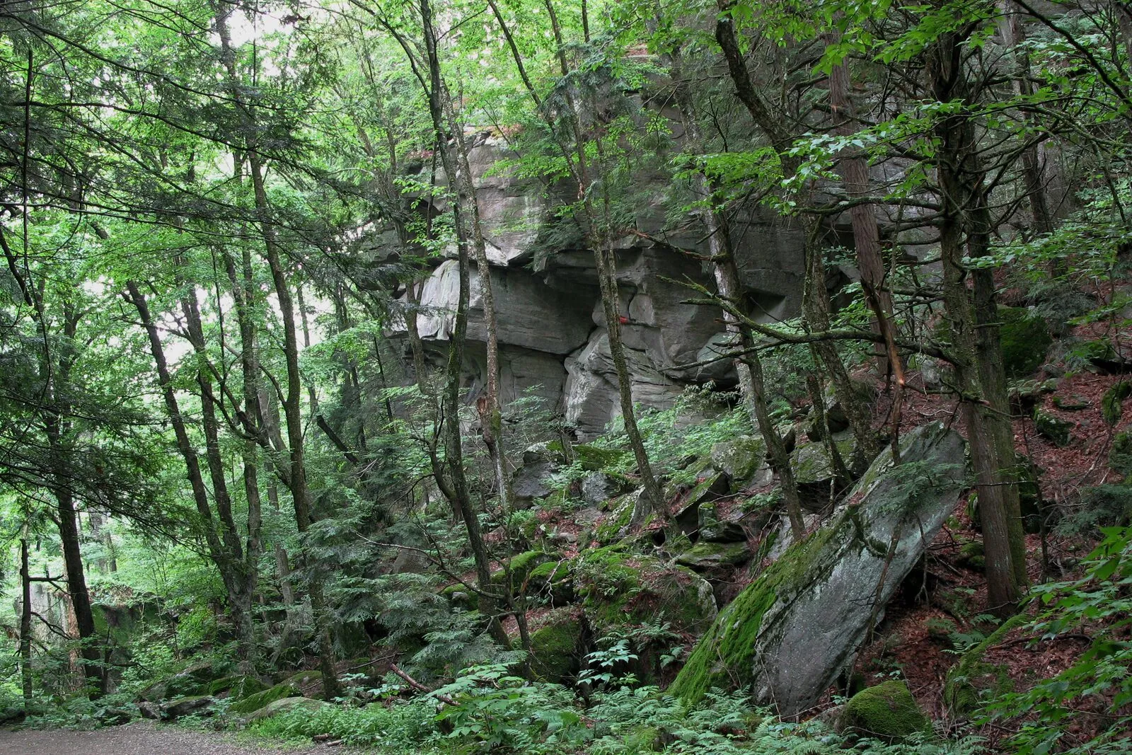 A tall, weathered rock outcrop along the wall of Rattlesnake Gutter rises from a slope of moss-covered boulders and leaf litter. Green deciduous trees frame the scene on both sides; a narrow dirt path with a few large stones runs across the foreground. The summer light is soft and even under a leafy canopy, and no people or water are visible.