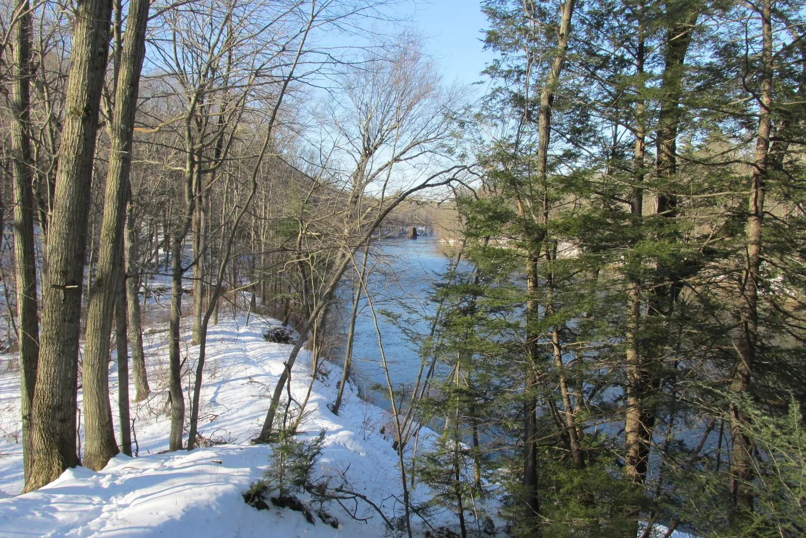 A winter view of the Westfield River flowing through snow-covered woodland in Robinson State Park. The dark, open water cuts a curving line through the center of the frame, framed on both banks by snowy ground and bare deciduous trees mixed with darker evergreens. Stones and woody debris poke through the snow along the foreground bank. The light is flat and diffuse under an overcast sky.