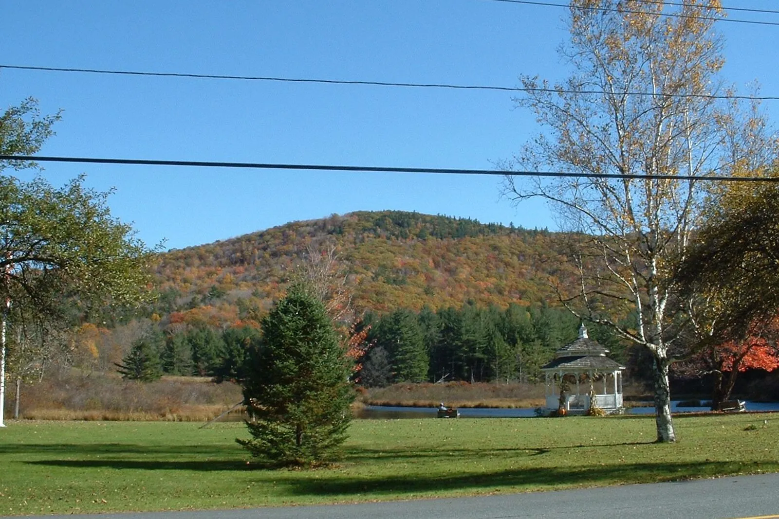 Looking across the Rowe town common toward Adams Mountain on a clear fall afternoon: a wooded ridge in peak orange-and-red foliage rises across the middle distance under a deep cloudless blue sky, a small reedy pond with a low marshy shore sits at the base of the ridge, a white wooden gazebo with a dark roof stands at the right edge of the pond beside a slender pale-trunked birch tree, a single lone conifer rises from the broad mown lawn in the foreground, two horizontal utility wires cross the upper sky, and a strip of paved road with a yellow center line runs along the bottom edge of the frame.
