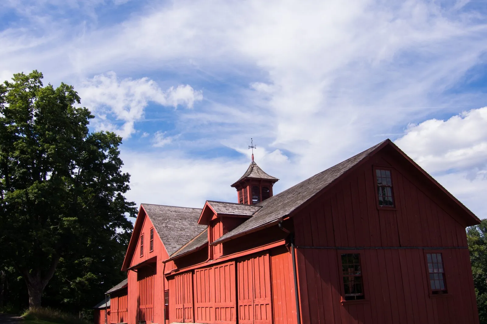 The deep-red board-and-batten Bryant Homestead barn on a sunny summer afternoon. A long agricultural building with a steep gabled shingle roof and a small white-and-red bell-shaped cupola with a weather vane at its peak, large board doors and small multi-pane windows along the side, a single mature deciduous tree in full green leaf at the left framing the scene, low grass and a gravel drive along the front, and a high blue sky with wispy cirrus clouds overhead.